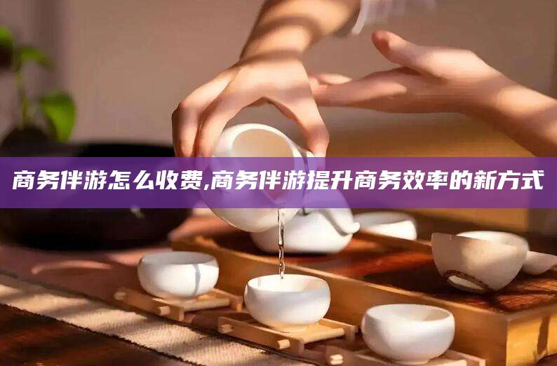 中卫商务伴游怎么收费,商务伴游提升商务效率的新方式